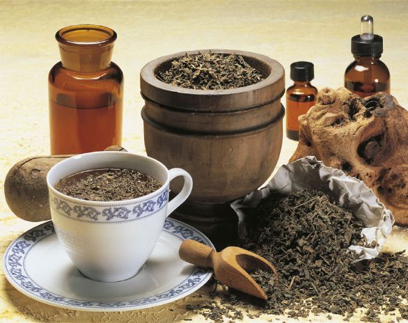 Il tè di Giava depurativo e dimagrante L'ortosifone è una pianta esotica, proveniente dal Sudest asiatico e dall'isola di Giava, dalla quale prende anche il nome di Tè di Giava. Veniva utilizzato in Indonesia e in India per i problemi dell'apparato renale e della vescica. In Europa se ne conosce l'uso soltanto dalla fine dello scorso secolo come pianta diuretica e depurativa per l'effetto stimolante sulla produzione biliare. Attualmente viene utilizzato anche come coadiuvante nei regimi dimagranti e per il mantenimento del peso raggiunto.