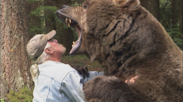 Incontro ravvicinato con un Grizzly Spettacolare incontro ravvicinato con un Grizzly