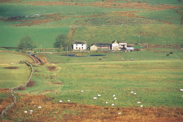 Contea di Northumberland Veduta della contea inglese di Northumberland dove sono state girate alcune scene degli episodi di Harry Potter.
© De Agostini Picture Library.