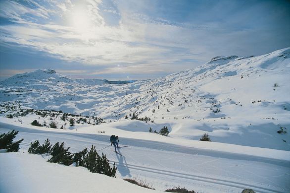 Pista da fondo nella zona del monte Ortigara in Veneto Le gare di gran fondo prevedono gare di 30 o 50 km con un dislivello di 250 m e una salita massima continuativa di 150 m; i totali dei dislivelli possono raggiungere il massimo di 700-1000 m per le gare di 30 km e di 1000-1500 m per quelle di 50 km. La categoria femminile è prevista solo per le gare del primo tipo. Alle gare di fondo possono partecipare uomini e donne: per la categoria maschile il percorso è di 15 km, con un dislivello massimo di 250 m e un dislivello totale massimo di 450-600 m, mentre per quella femminile sono previste distanze di 5 e 10 km (5 km: dislivello massimo 100 m, totale 150-200 m; 10 km: dislivello massimo 150 m, totale 250-300 m).