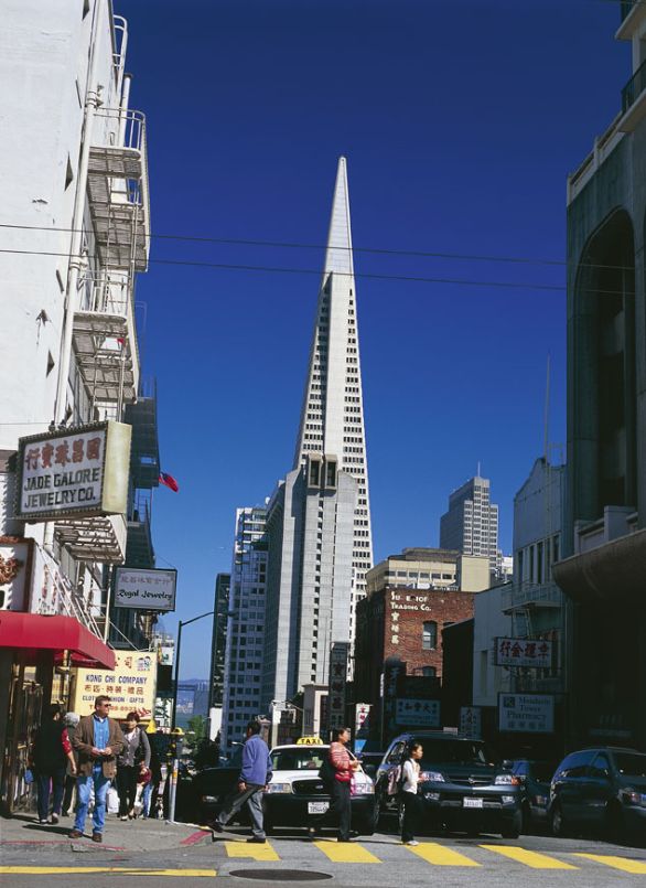 La Transamerica Pyramid di San Francisco Il grattacielo è un edificio a prevalente sviluppo verticale (oltre i 15 piani e i 50 m di altezza), comparso negli USA nella seconda metà del secolo XIX, sotto l'impulso del crescente sviluppo economico e tecnologico.