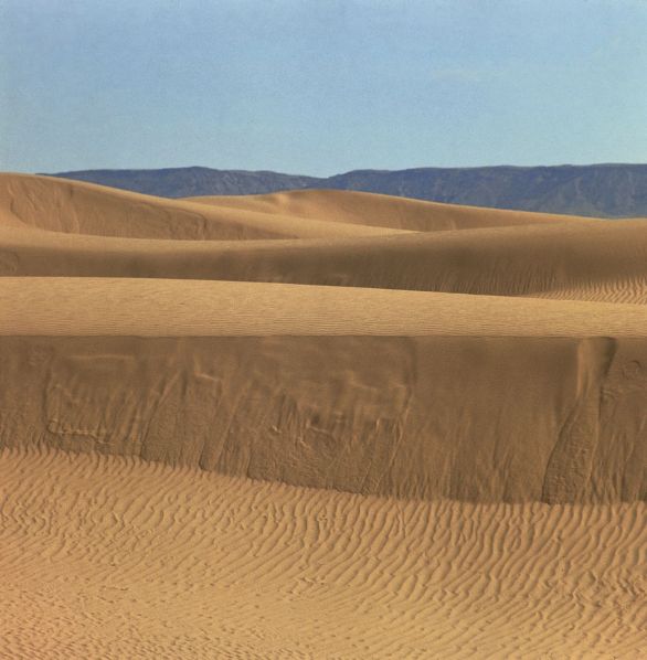 Marocco, dune del deserto del Sahara nei dintorni di Erfoud Il deserto del Sahara occupa un vasto settore della parte settentrionale dell'Africa; si estende dall'oceano Atlantico al Mar Rosso (interrotto solo dalla valle del Nilo) per oltre 5000 km. Il limite settentrionale viene indicato dalle palme produttrici di datteri che maturano sull'albero, quello meridionale da una graminacea urticante (Cenchrus biflorus), spesso associata a un'euforbia, che segna il limite del sahel, zona di transizione che non si presta alle colture, ma dove esiste una vegetazione di savana.