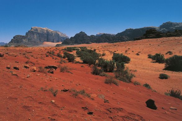 Giordania, deserto del Wadi Rum La Giordania si identifica geograficamente con le distese tabulari a E del fiume Giordano, che costituiscono una parte integrante della vasta regione desertica e subdesertica siro-arabica. Nel complesso il Paese corrisponde a un arido altopiano la cui continuità è rotta, sul margine occidentale, dai rilievi che orlano la depressione tettonica palestinese.