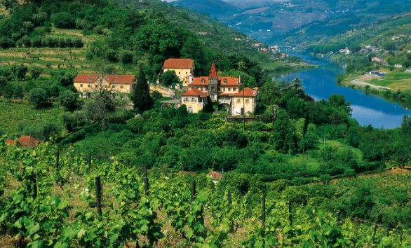 Intorno a Rio Douro, Portogallo Lungo tutta la valle del Rio Douro, il fiume che sfocia a Porto, l’assiduo lavoro dei contadini nel corso dei secoli ha scavato nella roccia migliaia di terrazze sulle quali è cresciuto uno dei vitigni più famosi del mondo, l’unica vera ricchezza di questa regione.