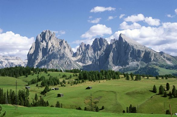 L'Alpe di Siusi; sullo sfondo il Sasso Lungo (a sinistra) e il Sasso Piatto. L'altopiano dell'Alpe di Siusi si estende per circa 50 km quadrati tra la val Gardena a N, il Sasso Lungo a E, il Catinaccio a S e lo Sciliar a W. Ha un’altitudine media di 2000 m è ricoperto da boschi di conifere e distese prative.