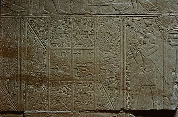 anziano-nutre-uccelli