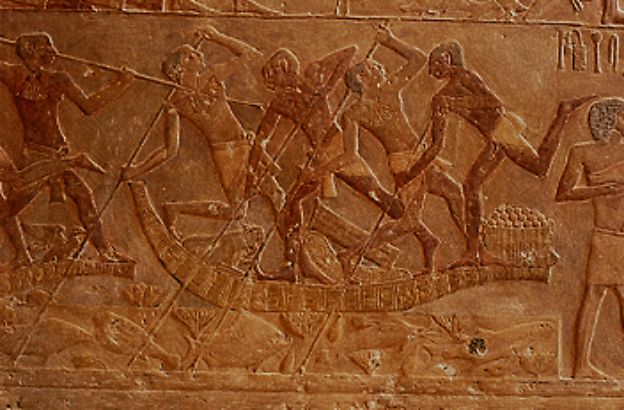 nobili-lottano-sull-acqua