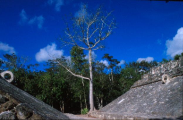 campo-di-pelota-kabah