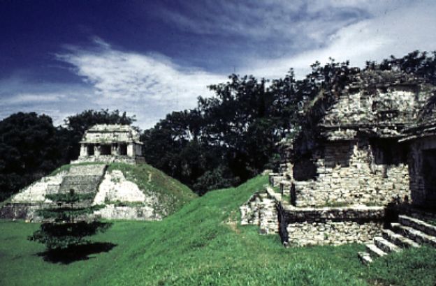 palazzi-foresta-palenque