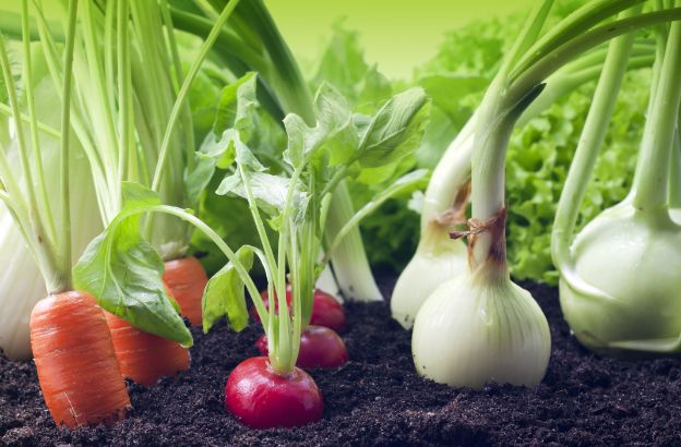 prodotti-bio-verdure