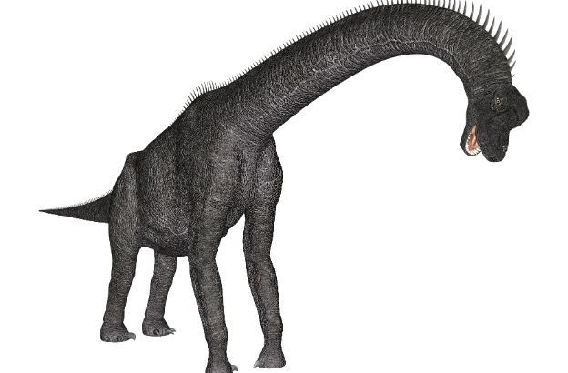 uccelli-discendenti-dinosauri