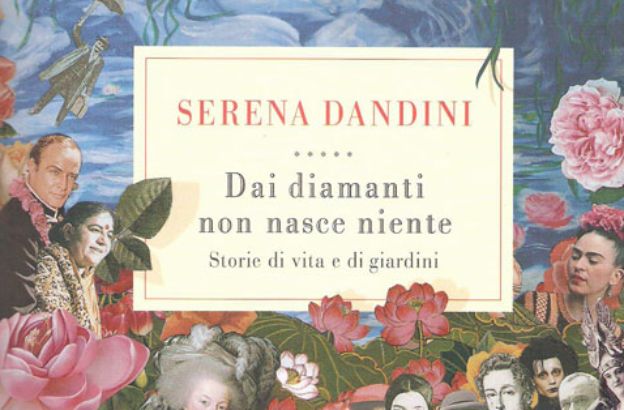 dai-diamanti-non-nasce-niente