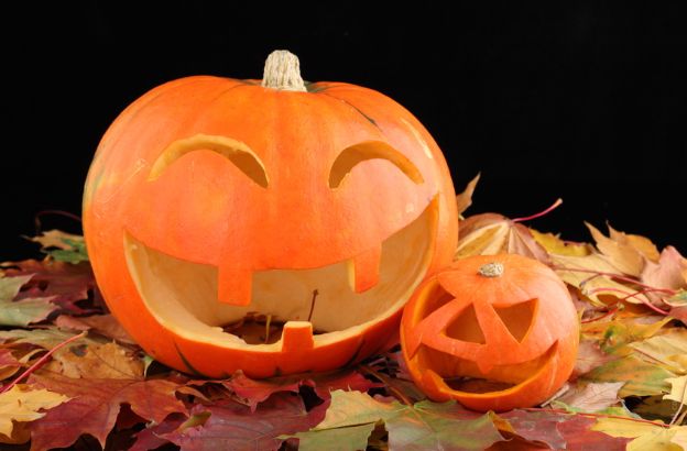halloween-zucche