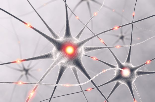 neuroni