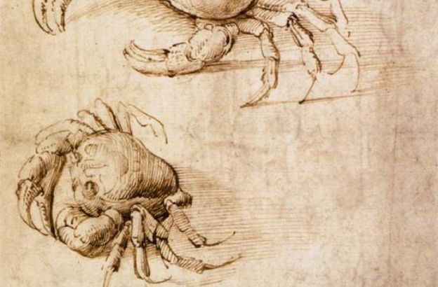 leonardo-da-vinci-granchio