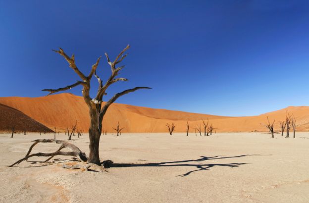 deserto
