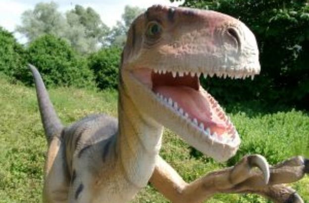 dinosauro-classificazione