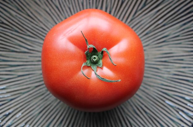 tomato