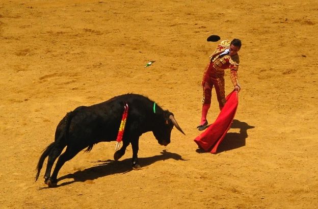 toro-corrida