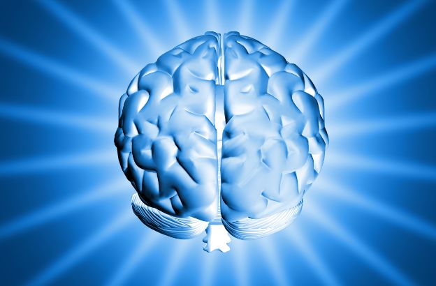 cervello0