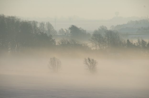 nebbia