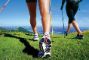 nordic-walking