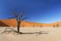 deserto