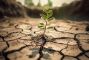 crisi-climatica.jpg