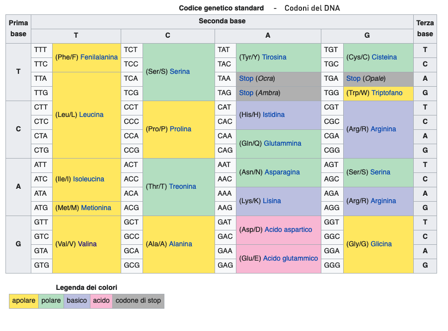 Tabella del codice genetico del DNA