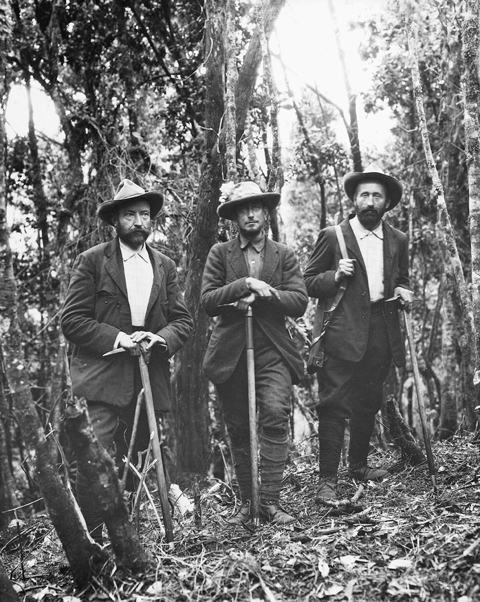 Spedizione di Luigi Amedeo di Savoia Duca degli Abruzzi sul Ruwenzori nel 1906 La catena del Ruwenzori è un gruppo montuoso dell'Africa centrale, che si innalza tra il lago Alberto e il lago Edoardo, allungandosi per ca. 130 km al confine tra la Repubblica Democratica del Congo e l'Uganda. Costituito per lo più da rocce intrusive, culmina a 5109 m s.m. nella cima Margherita, ponendosi così al terzo posto tra i monti più alti dell'Africa. Scoperto nel 1889 da Stanley, fu scalato per la prima volta dal duca degli Abruzzi nel 1906.