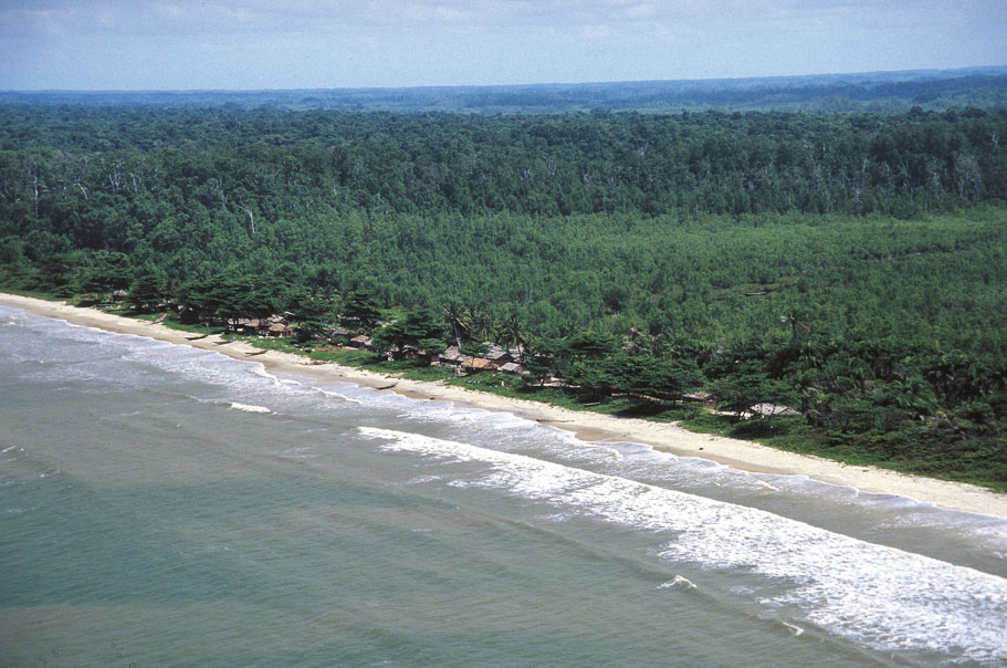 Il patrimonio forestale nigeriano. Litorale La Nigeria è uno dei Paesi africani più ricchi anche in campo forestale: nel 2007 ca. il 15% del territorio nazionale era ricoperto da boschi e foreste, ma solo nel Sud sono diffuse essenze pregiate come il mogano, l'obeche e l'abura. 