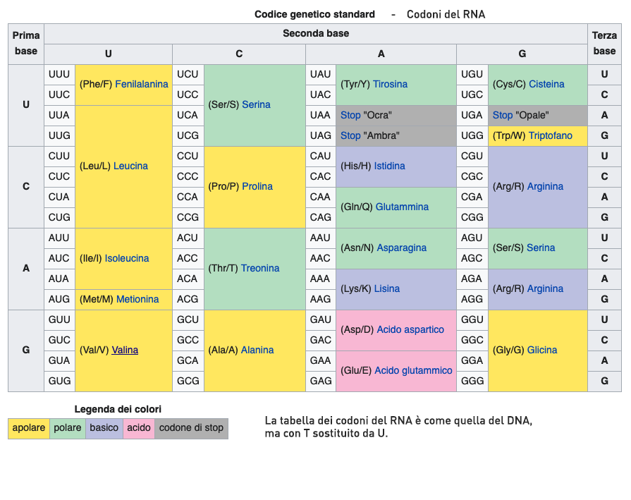 Tabella del codice genetico dell'RNA