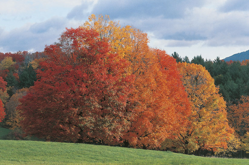 La stagione autunnale in musica Il compositore Antonio Vivaldi diede il titolo de 