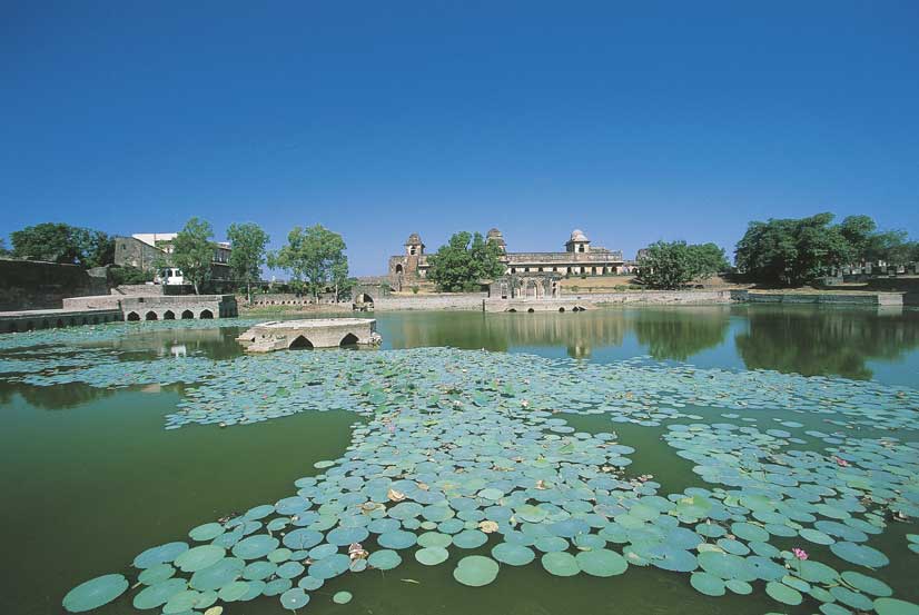 Ninfee, India Stagno con ninfee presso i Palazzi Reali di Mandu, Madhya Pradesh, India.
© De Agostini Picture Library.