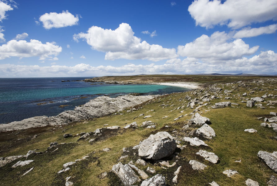 Isole Falkland o Malvine. Isola di Pebble, costa nord-est Il viaggio, iniziato a Plymouth, fece tappa nell'arcipelago di Capo Verde per poi attraversare l'Atlantico e giungere sulle coste del Sud America fino alle isole Falkland. 