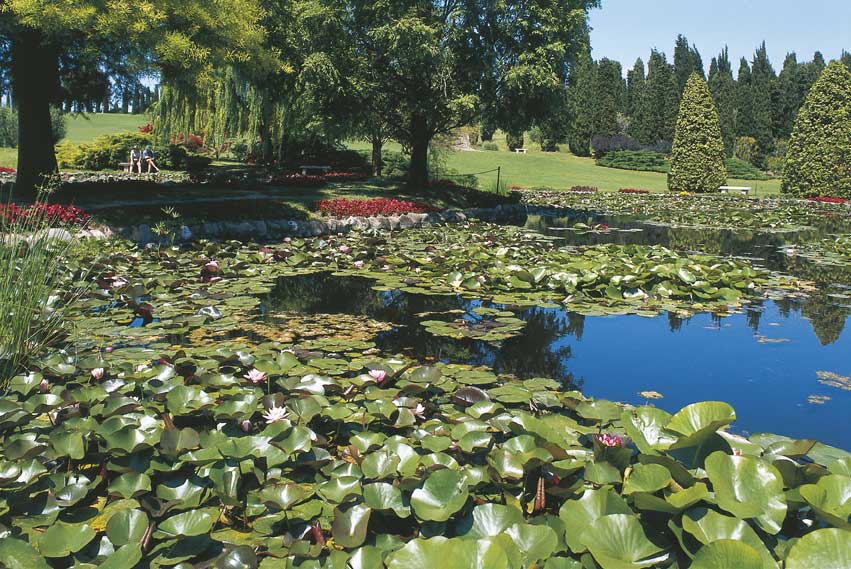 ninfee, Valeggio sul Mincio Giardini con ninfee presso il Parco-giardino di Sigurtà a Valeggio sul Mincio (Vr).
© De Agostini Picture Library.