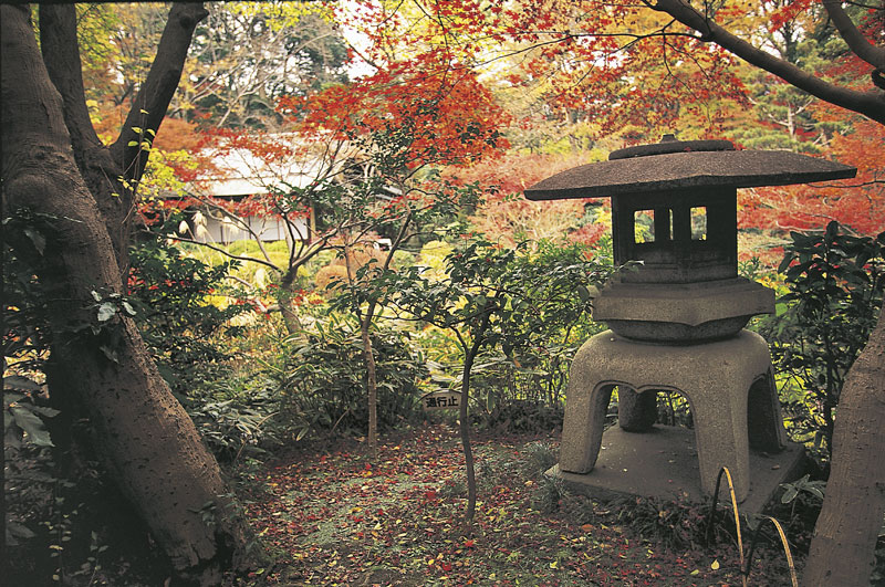 Giardino nel museo d'arte Nezu Giardino nel museo d'arte Nezu, nel quartiere Minami-Aoyama di Tokyo, Giappone.
© De Agostini Picture Library.